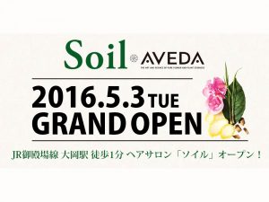 Soil-2016.5.3-s