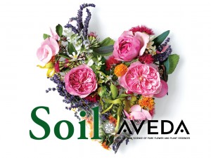 soil_aveda_image1